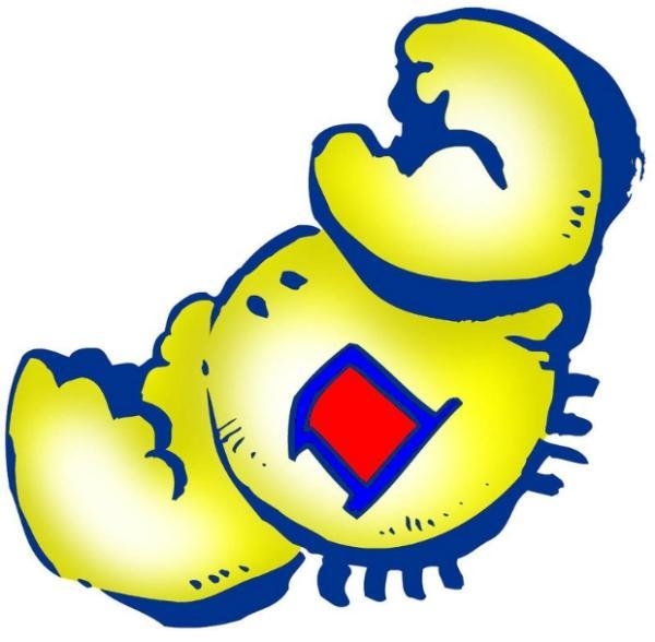 1、如何判断巨蟹女喜欢你