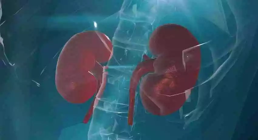 3、禁欲真的能补肾?