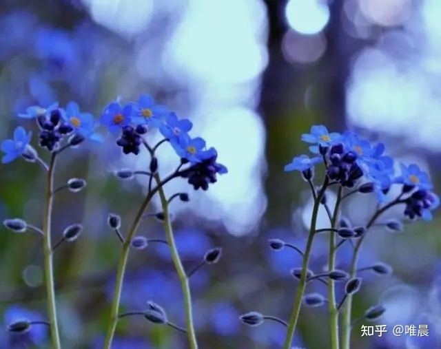 2、缘分已尽,援助之恩必定铭记在心,但永世不想再见,心已寒!