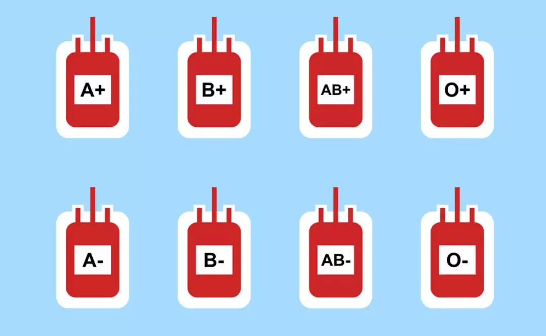 3、什么血型的人最多