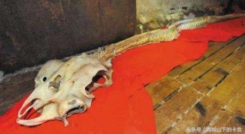 2、三峡水怪被证实是一个废弃的橡皮气囊,现实中有哪些传说被证实其实是假的?