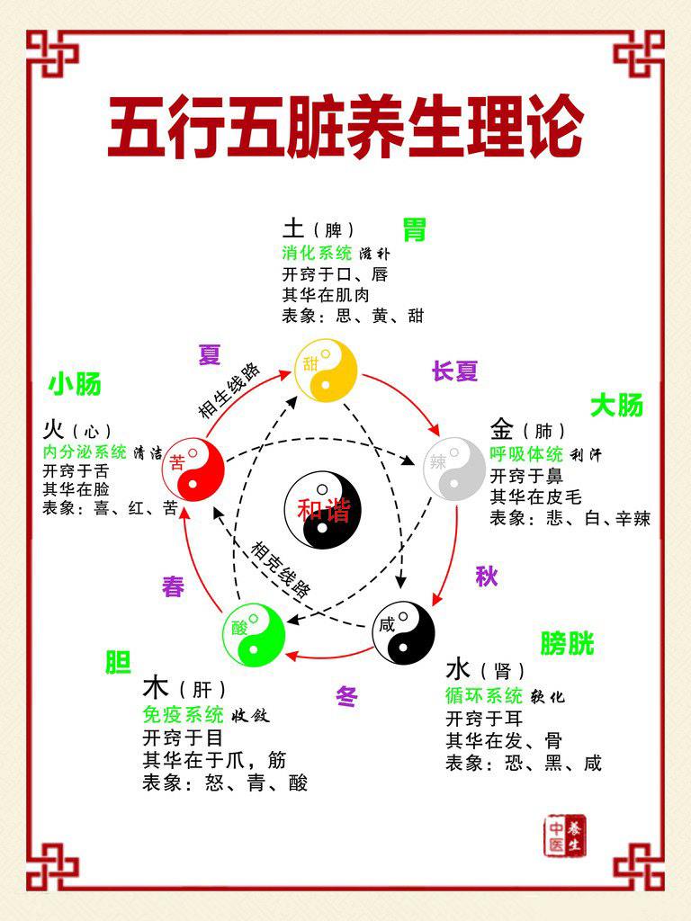 2、从传统武术角度,五脏分别对应哪些属性?