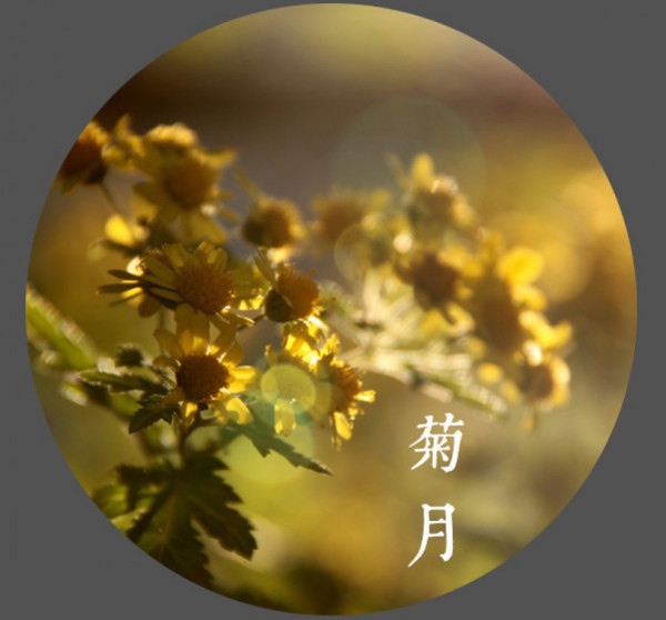 2、中国农历十二个月份的常见别称