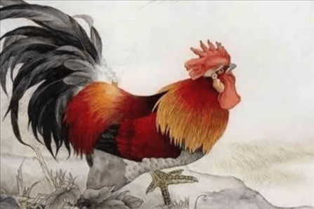 2、属鸡的人命苦吗 为什么老人说属鸡的命不好