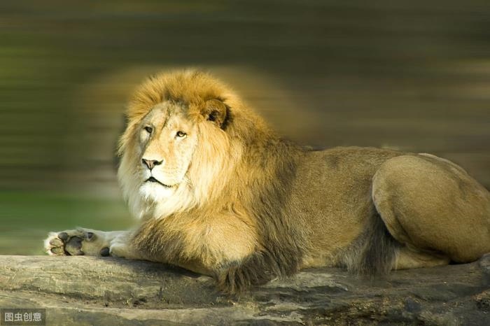 3、狮子座男生的性格特点和恋爱方式？，狮子男花心吗？