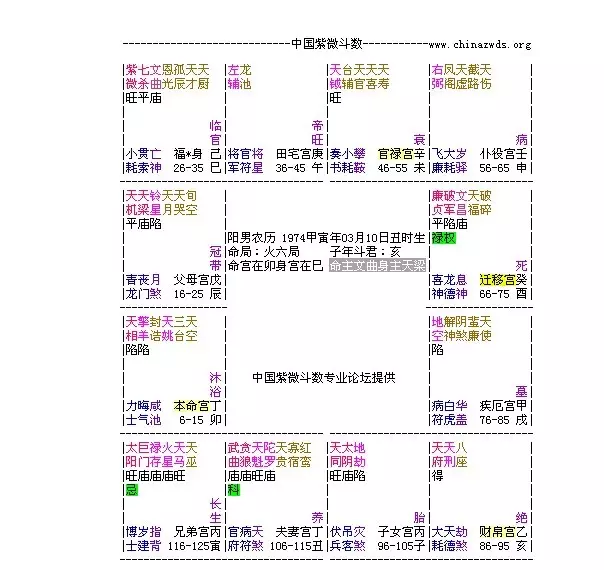 4、紫薇星盘分析