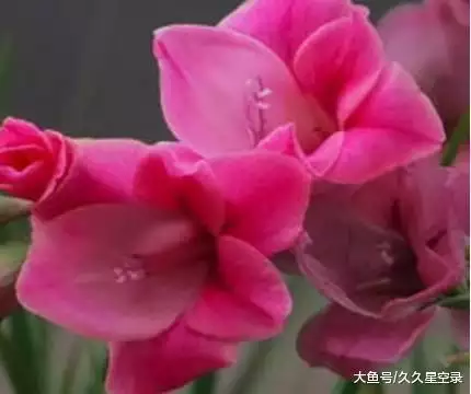 4、什么微信群名好听又霸气聚财?