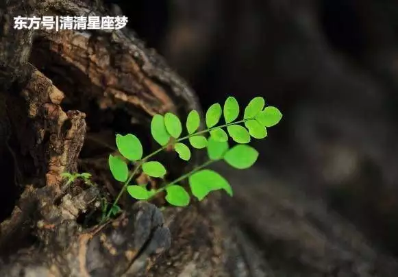 3、未来7天,紫气东来,横财纷飞,必有中头奖的大好运的3大星座都有哪几个？