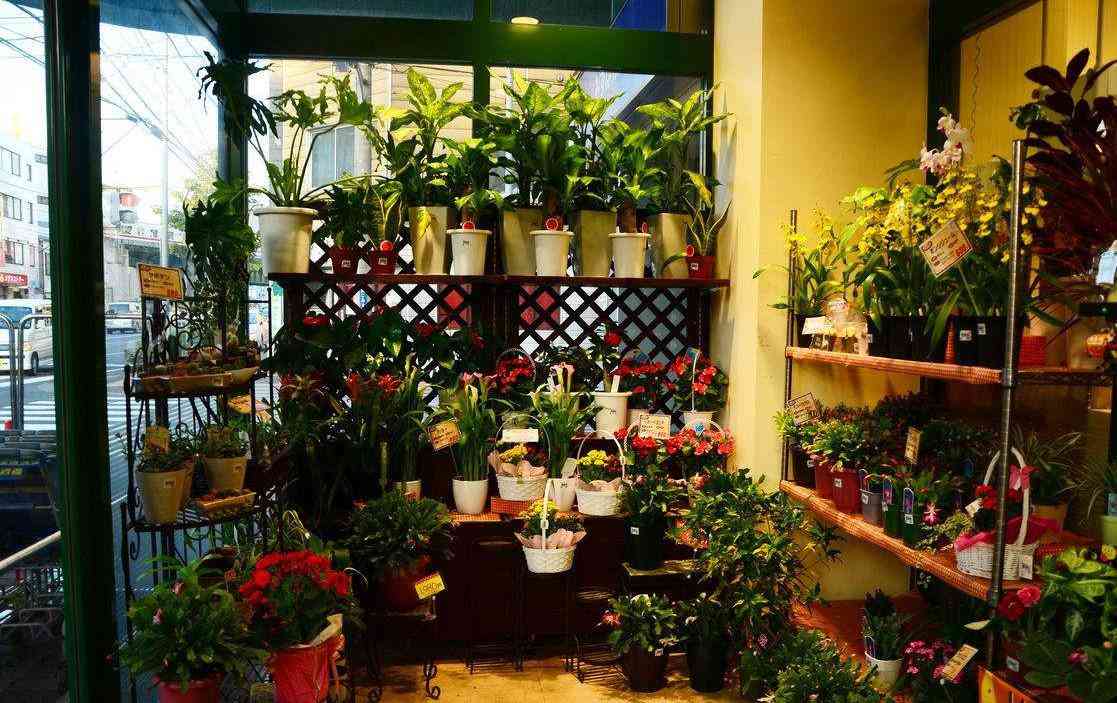 2、适合一个人开的店有哪些？