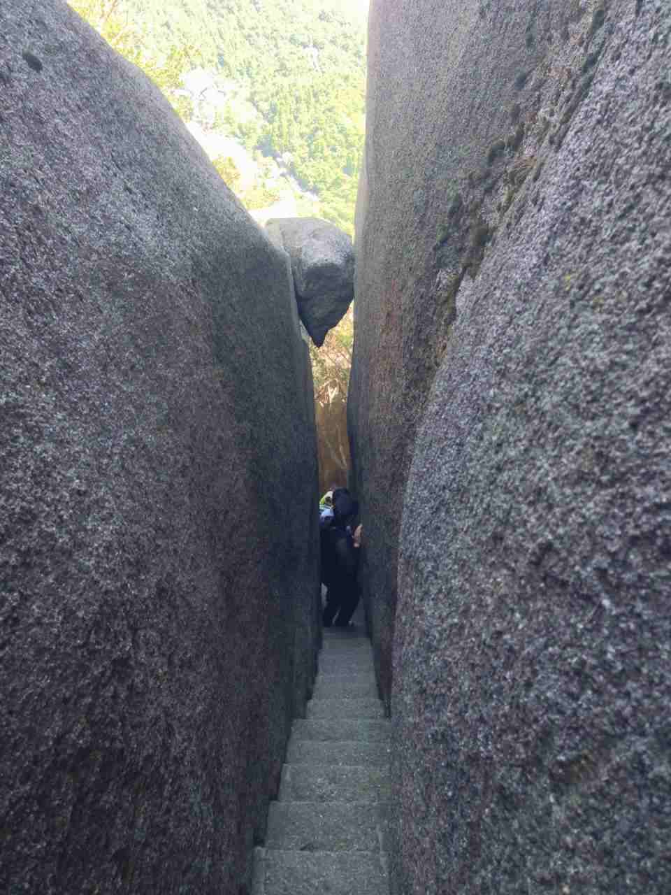 2、女人有几种类型