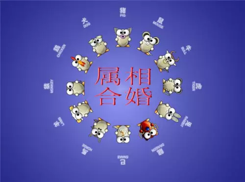 3、属相婚配可以相信吗？