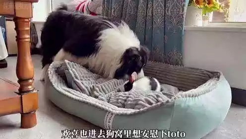 3、我的小兔兔被男生咬着的感觉？