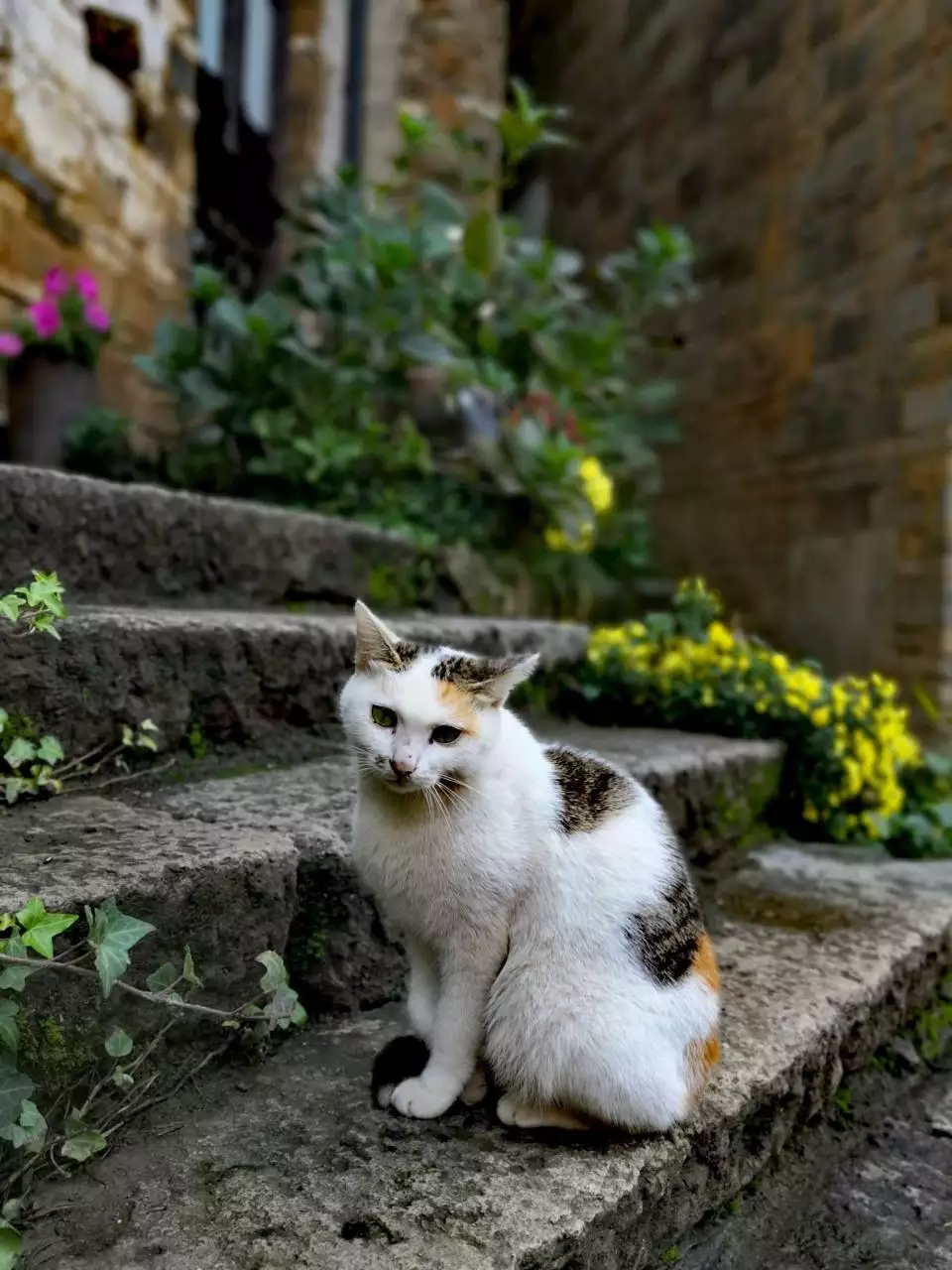 3、天外有天代表哪个生肖？