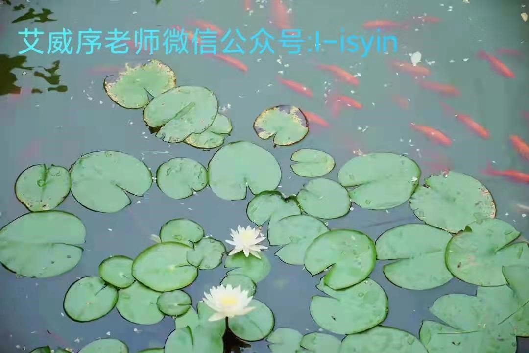 2、走霉运的时候掌握哪几招,能够及时的走出困境?