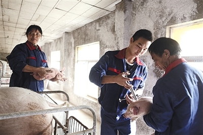 2、寻找养殖合作伙伴