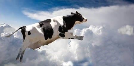 2、天外有天，猜什么生肖？