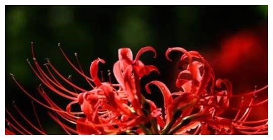 2、男人撞红一般倒霉多久?