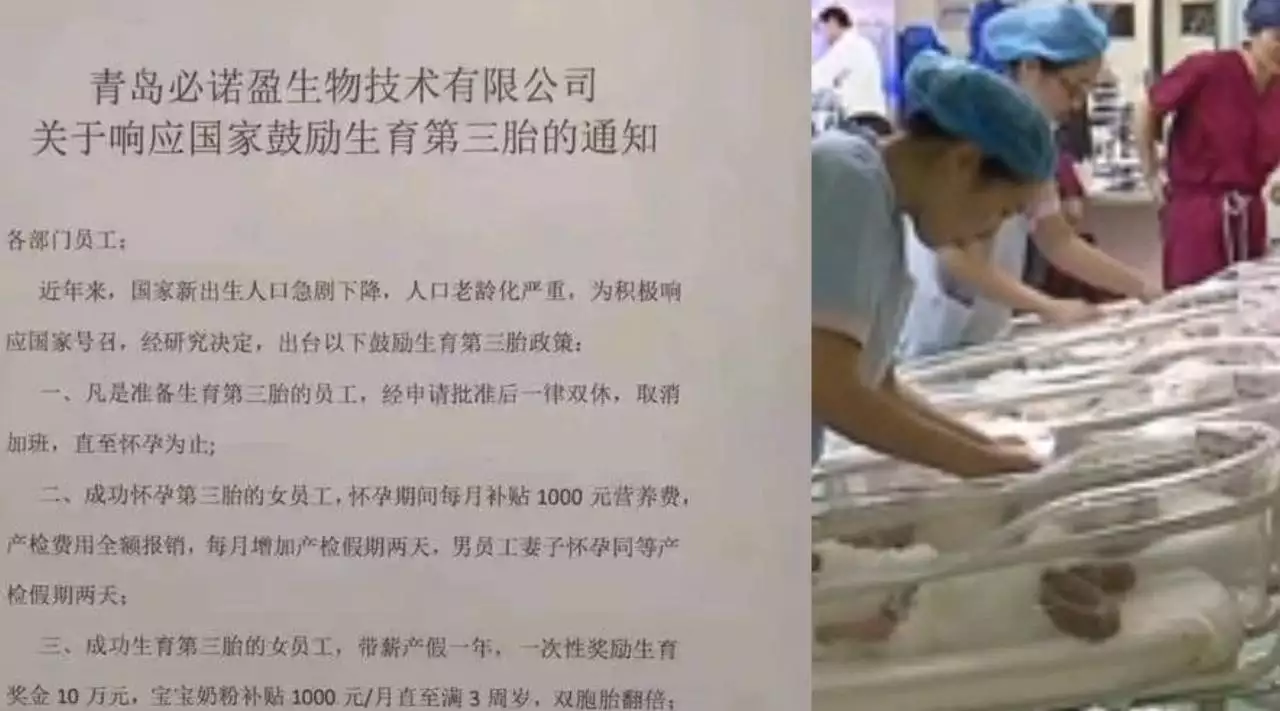 3、年山东三胎奖励具体是什么？