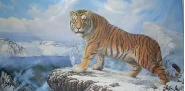 3、属虎的几点出生**属虎人几点钟出生命好