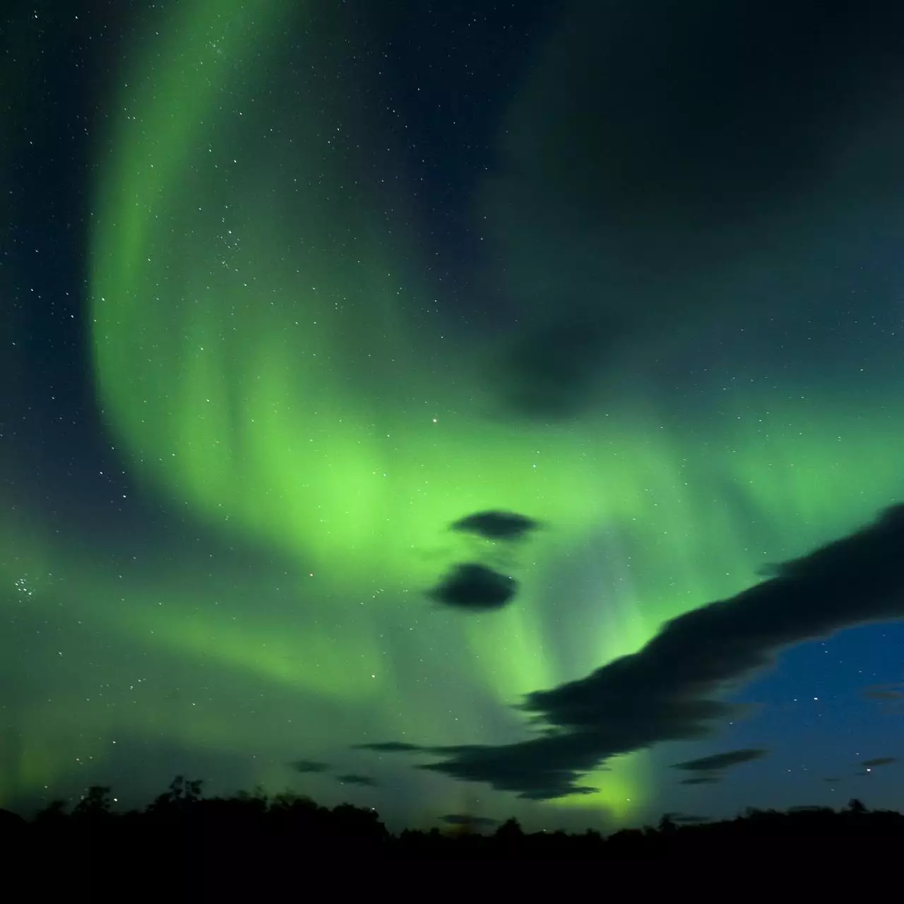 月份出生的是什么星座