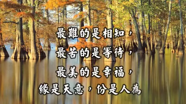 4、情人是上辈子的夫妻，相遇是注定的 ，这话你认同吗？