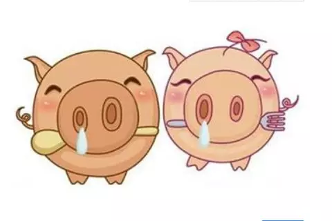 3、属猪的人有二婚命吗