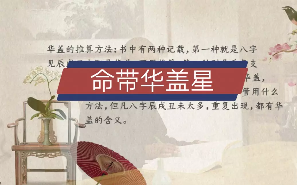 4、命中带华盖是什么意思