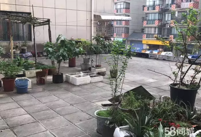 3、我家是二楼 楼下阳台建护栏高度延伸到了我家阳台 是否有规定可以令其拆除吗?应该找那些部门解决?