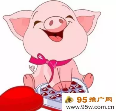 4、九五年属猪的在五行中是什么猪