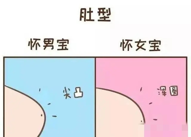 2、生男孩女孩肚子形状差的多吗？