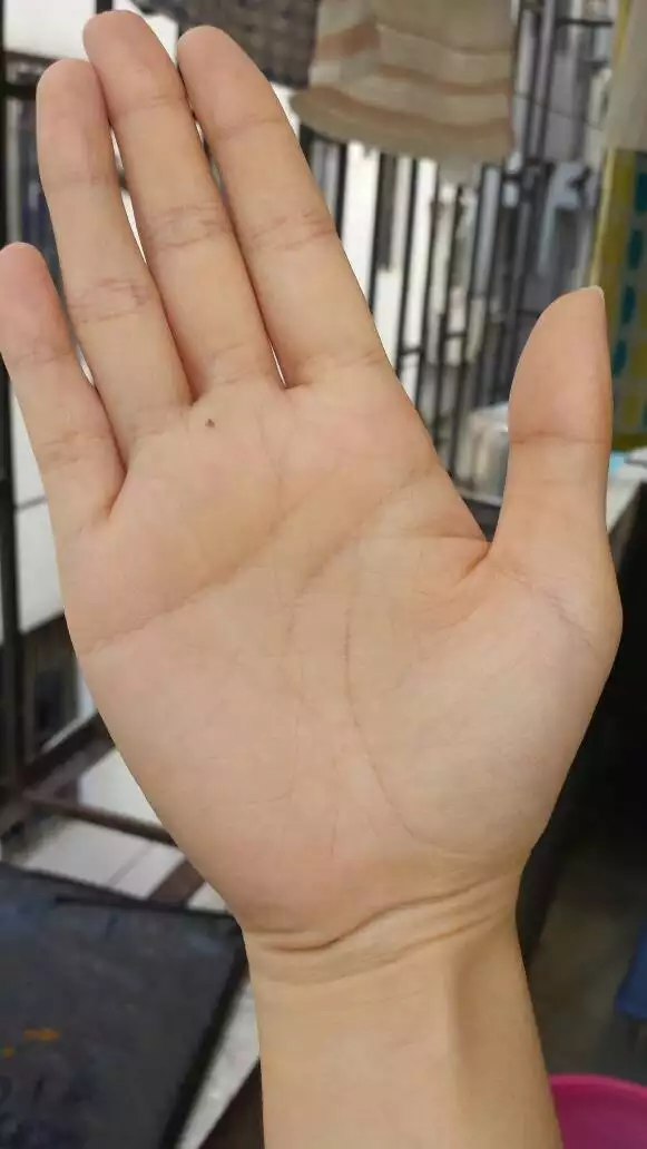 3、有会看手相的吗？