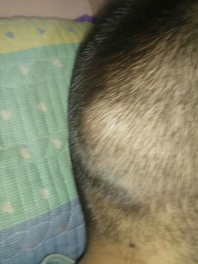 2、小孩子摔到头