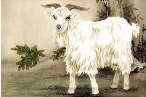 4、男属羊、女属蛇它们的婚姻相配吗？