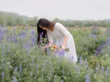 2、女人一生好运的网名