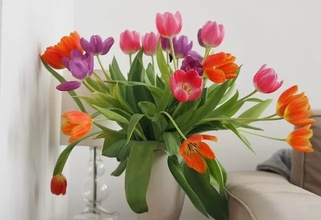 3、贼盗香是什么意思？