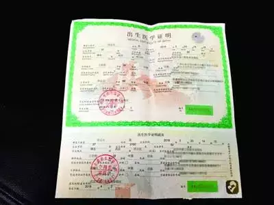 3、“出生医学证明”电子证明在哪里查看？