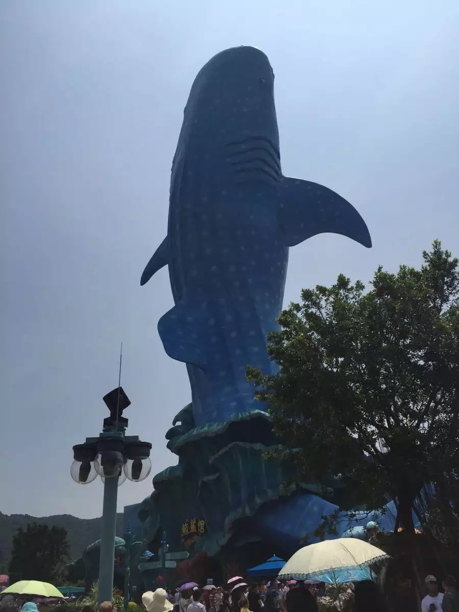 3、在珠海长隆海洋王国玩都要做哪些准备?