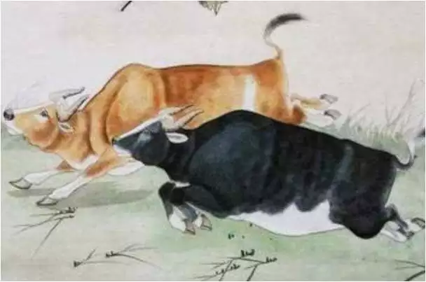 4、属牛的人年运势及运程