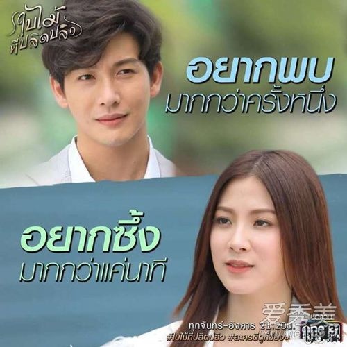 2、有哪个软件可以看泰剧啊?