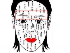 2、男人面部痣相图解，怎么对照自已的左右，图中标注33是自已的左还是右？
