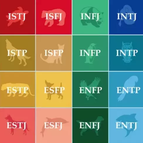 3、怎么有效判断出身边的人MBTI？