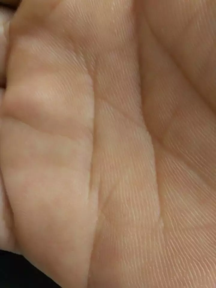 3、有免费看手相的吗？