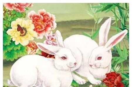 2、请假高手年属兔人在年的运势运程!**每个月都有说明!越详细越好!谢!