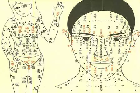 3、面部痣相的图解是怎么看左右的