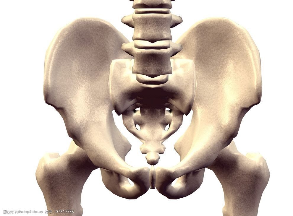 2、请问腰骶骨的位置在哪里？