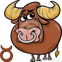 4、有没有关于金牛座的图片或事