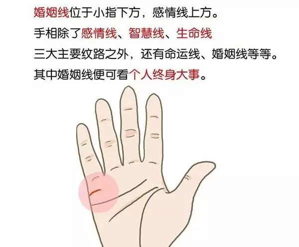 3、怎样看手相算命图解