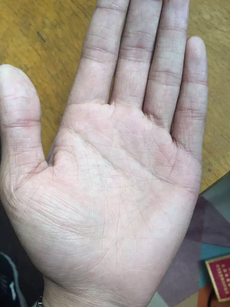 4、手中的掌纹代表什么