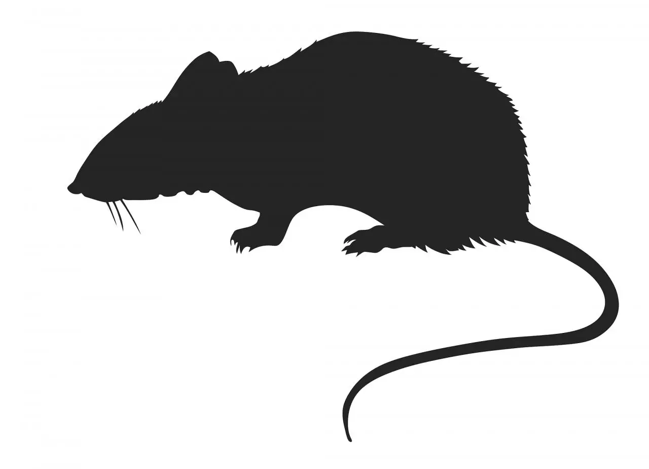 星座命盘十二宫查询 十二宫落入星座各种解释