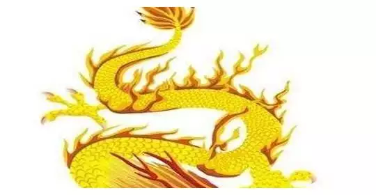 3、属龙的女生在婚后会把家庭看得很重吗？